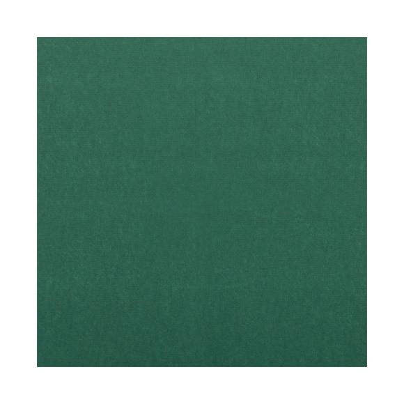 Serwetki ciemnozielone TENDANCE 25x25 cm 2warstwowe 50szt. (1)