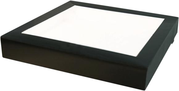 Pudełko czarne na SUSHI z oknem 250x250x50 mm 10 szt. (1)