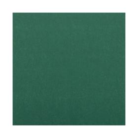 Obrazek dla: Serwetki ciemnozielone TENDANCE 25x25 cm 2warstwowe 50szt.
