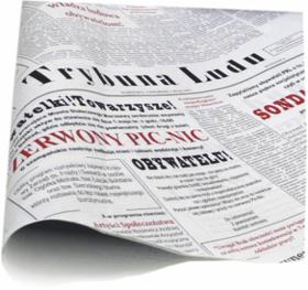 Obrazek dla: Papier półpergamin z nadrukiem Propaganda do wędlin i ciast 50x70cm 10kg